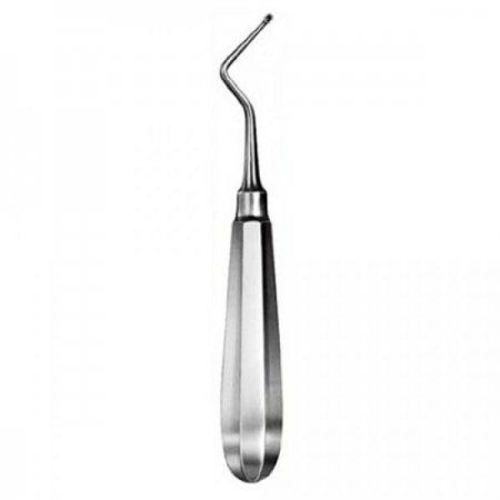Modell USA Bone Currete