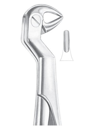 ROUTURIER (Fig. 215) ( 33 ½ R) lower molars and wisdom right