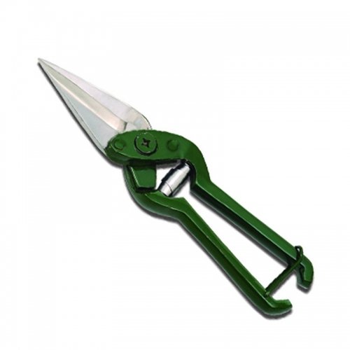 LIVESTOCK AND IDENTIFICATION