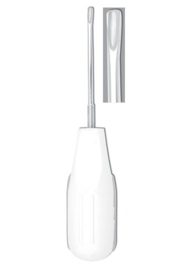 Root Elevator, Plastic Handle, Set of 10 Pcsot Elevator, Plastic Handle, Set of 5 Pcs