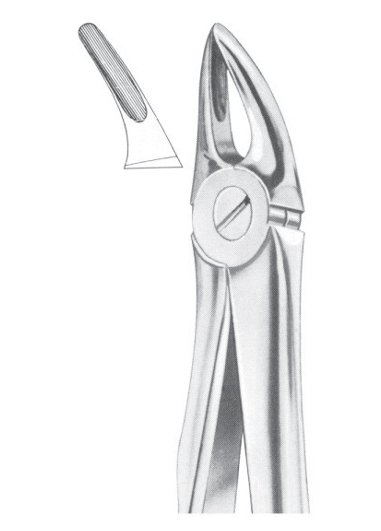Fig. 30 upper roots