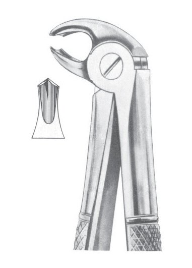 FIG. 22S LOWER MOLARS FOR CHILDREN