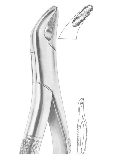 Fig. 62 incisors, premolars, deciduous teeth Qty: