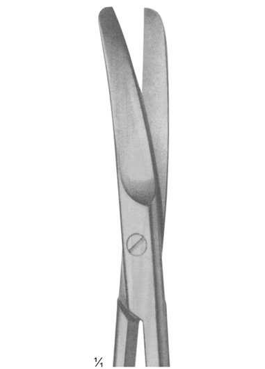 Size: 145 mm