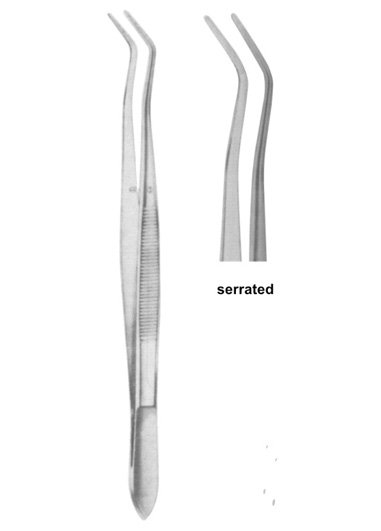 COLLEGE 15cm