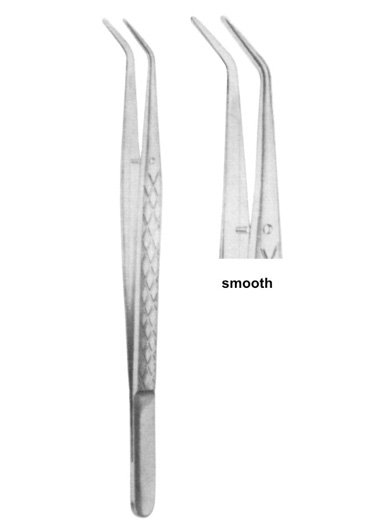 COLLEGE 15cm